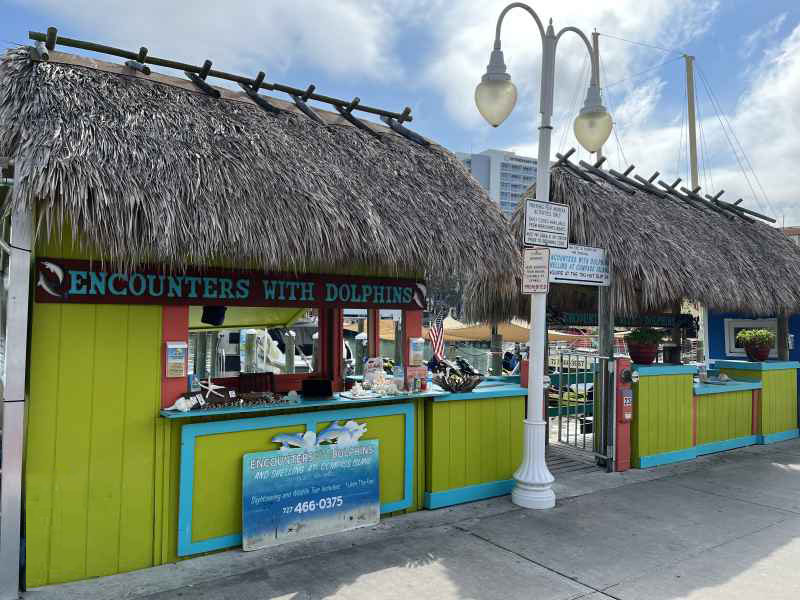 Tiki Hut Encounters With Dolphins